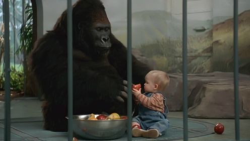 大猩猩好心照顾人类小孩，连坏人都不敢靠近，一部动物喜剧电影