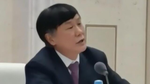 张燕生:新一轮的扩大内需、基础设施建设要满足新生代的需求