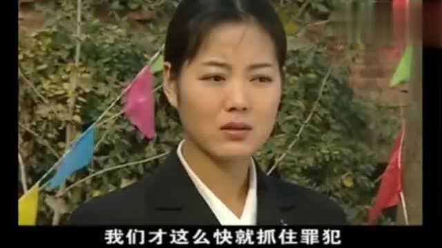 当家的女人:大结局二柱帮助警察,抓到金贵,菊香带全村走向致富路