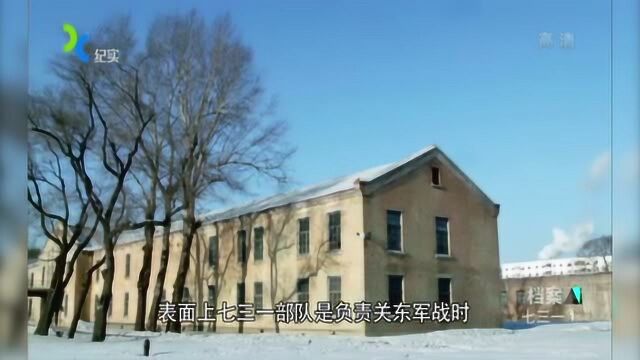 打着防疫给水部的幌子,这个容纳4000多人队伍被授番号七三一