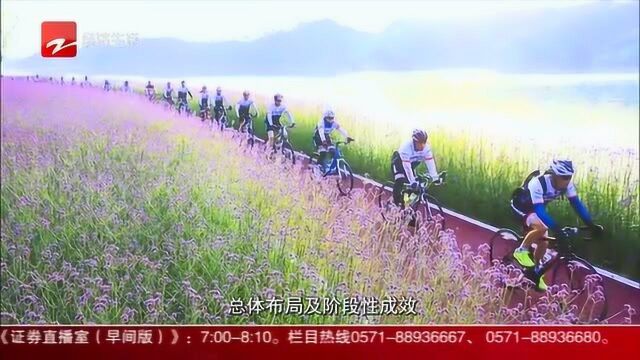 浙江省档案馆上新啦!美丽城镇全体都有