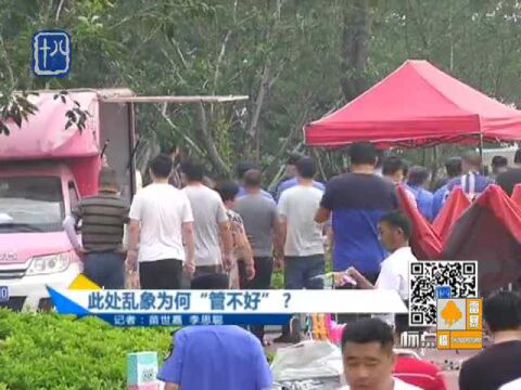 南京:风景名胜区不忍直视!此处乱象为何“管不好”?