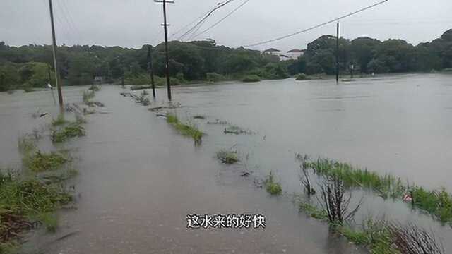 有没有小伙伴知道新安江的水是往哪流的,安徽和杭州夹击啊!