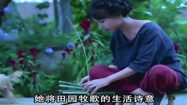 李子柒回应越南博主抄袭,模仿的了形,也模仿不了内核