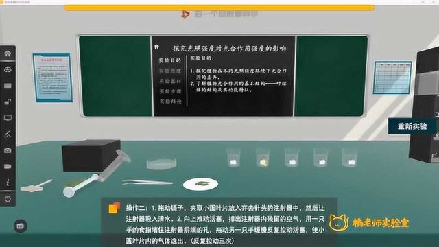 橘老师课堂第169期:探究光照强度对光合作用强度的影响