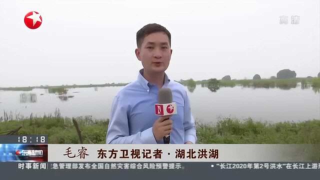 湖北洪湖:68级大风即将来袭 当地村民紧急转移