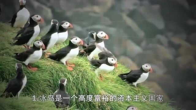 北欧岛国冰岛,虽无军队却无人敢惹恼,如今还是幸福感最高的国家