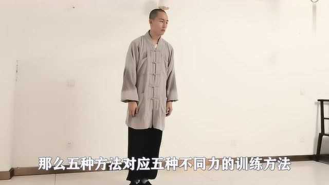 形意拳老师现场教学演练形意拳桩功三体式怎么站!