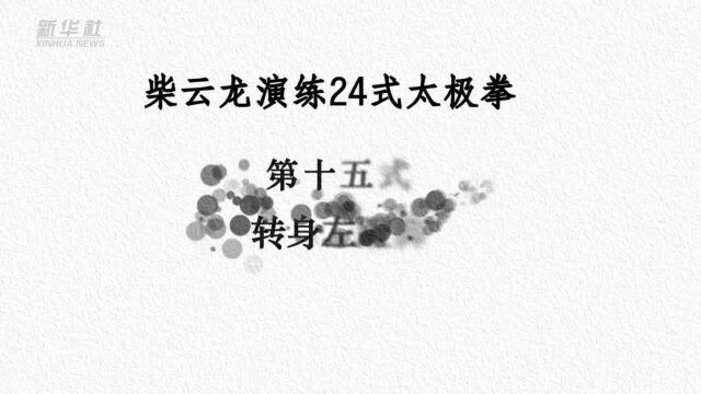 柴云龙演练24式太极拳第十五式——转身左蹬脚