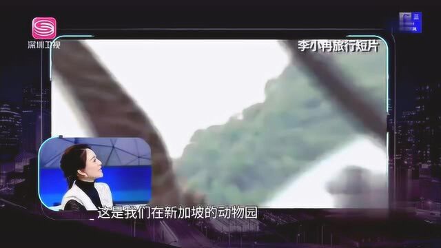 李小冉邀李静一起去冰岛看极光被拒,一句话静姐瞬间表情凝固!