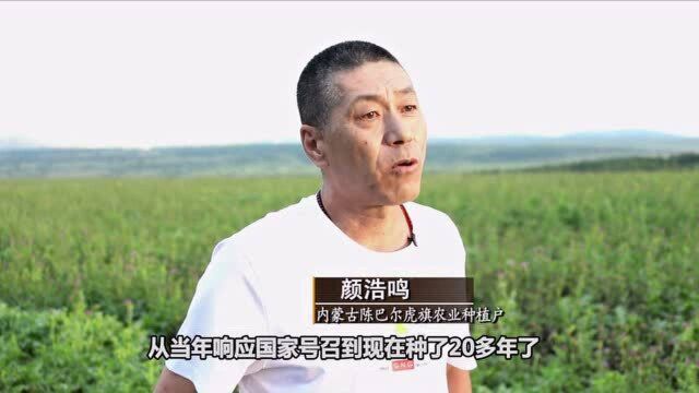 “毁粮种树”风波调查