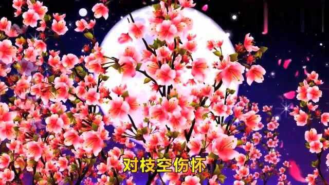 张冬玲演唱的《一枝桃花》,来听听吧