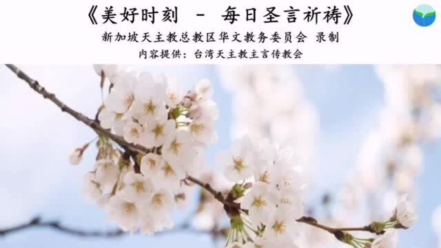 每日圣言祈祷:常年期第廿主日(甲年)