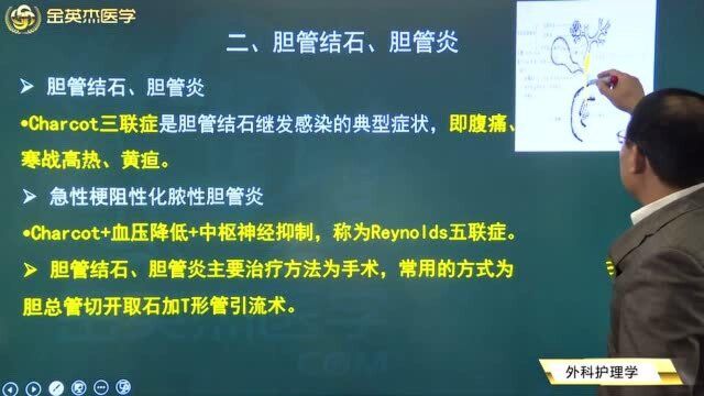 胆道疾病:引发胆管结石、胆管炎的病因都有哪些?如何进行手术治疗?