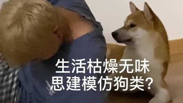 生活枯燥无味!