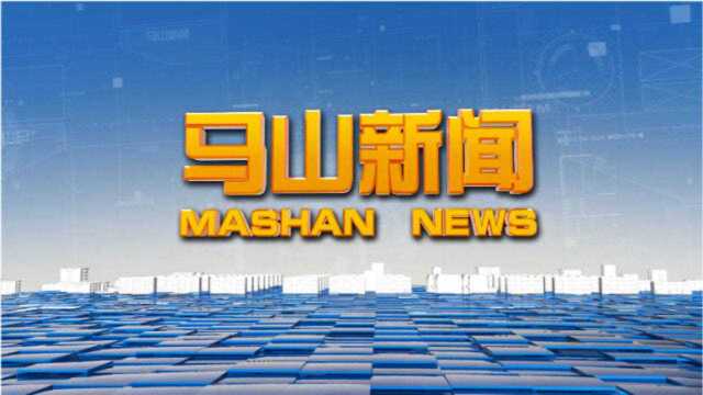 马山县广播电视台2020年8月18日《马山新闻》