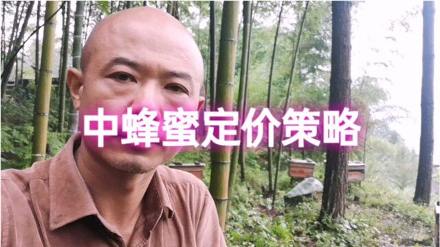 中蜂蜜定什么价格合适呢?乡村养蜂人,分析定价策略与个人建议