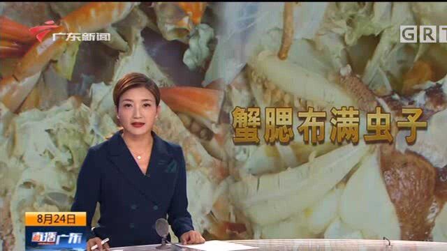 珠海 螃蟹腮上布满“虫子”?系寄生物不用恐慌