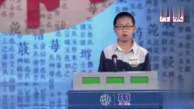 汉字听写大会:舛驳一词很少见,选手听了几遍都拿不准