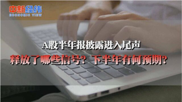 桂浩明:A股公司复苏特征明显 全年业绩正增长概率较大