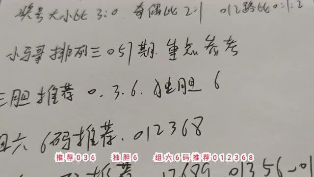 小马哥体彩排列三057期分析