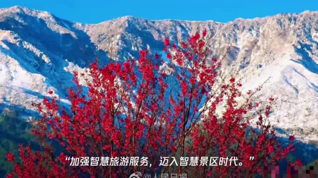 大理州推进文旅产业转型升级高质量发展