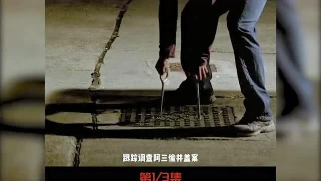 神探,,可惜一半人没看过真正结局