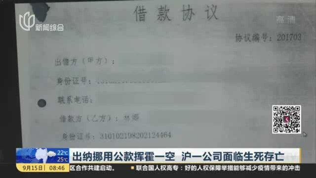 出纳挪用公款挥霍一空 沪一公司面临生死存亡