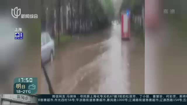 奉贤部分道路积水 相关部门迅速响应