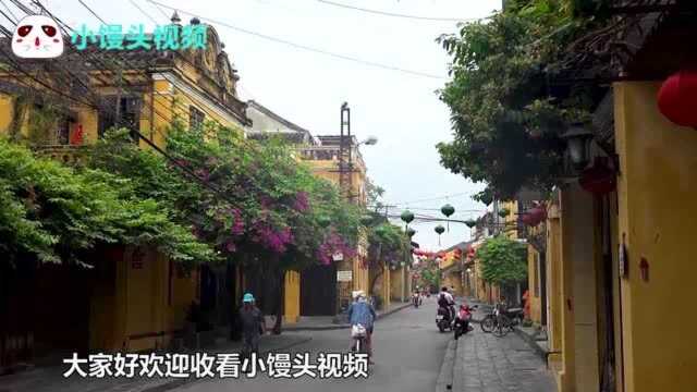 越南国土面积这么小,为什么非要划分成63个省市?看完长见识了