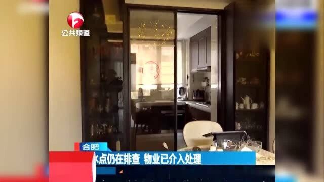 合肥:漏水点仍在排查 物业介入处理 业主家的水到底从哪来的?