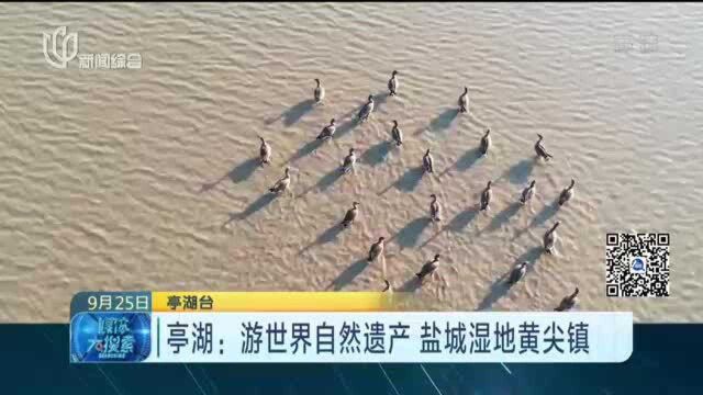 亭湖:游世界自然遗产 盐城湿地黄尖镇