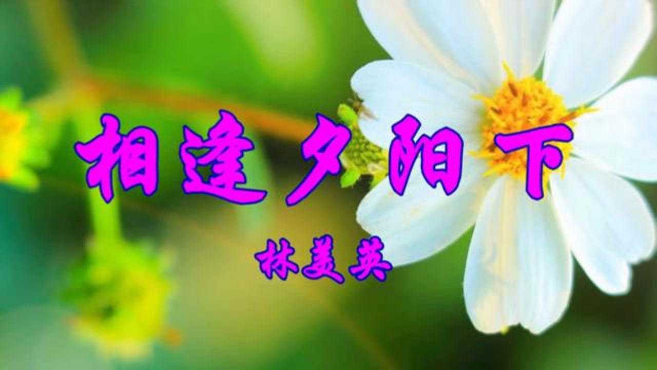 林美英演唱经典老歌《相逢夕阳下》好听醉人