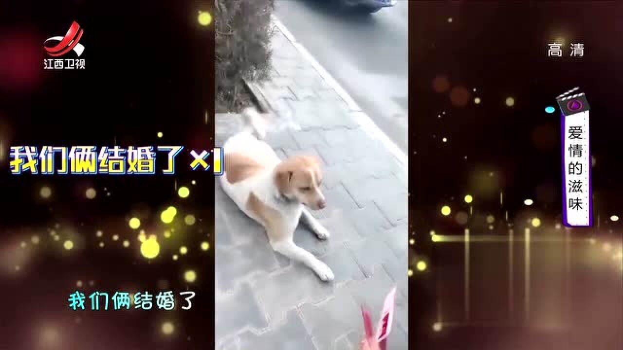 曾经,她以为可以默默看戏,可人生却非要她入戏