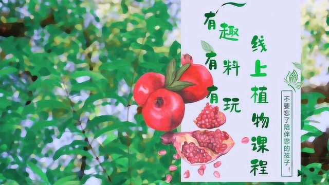 科技活动周 | 水果界吉祥物专刊