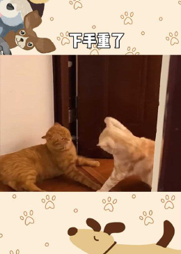 相处久了果然下手都更重了