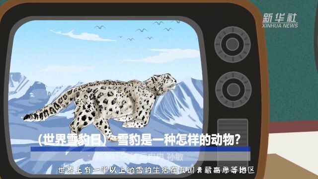 世界雪豹日:雪豹是一种怎样的动物?