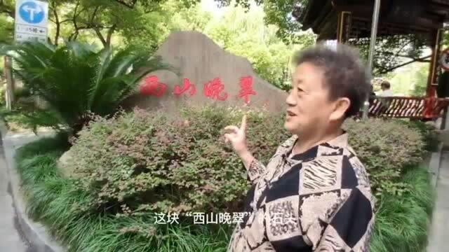 杭州翠苑一区有个有名的九曲池塘,几经变迁,最近美出新高度