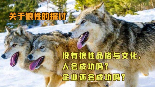 狼性文化探讨2:没有狼性品格,人会成功吗?企业还会成功吗?