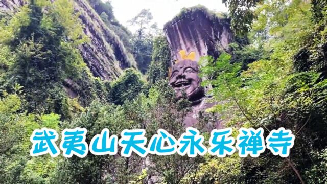 福建名刹永乐禅寺,实拍弥勒大佛石像,告诉你何为佛光普照!