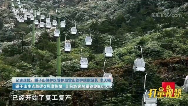 提升改造排除景区安全隐患,轿子山接待游客量理想