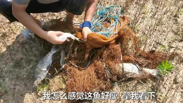 老渔民深山水库打鱼,一网下几乎爆网,看到鱼获却不忍心要