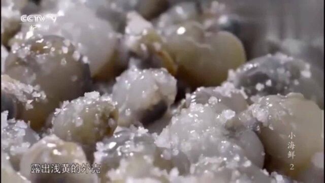 《小海鲜》醉泥螺、麦焦