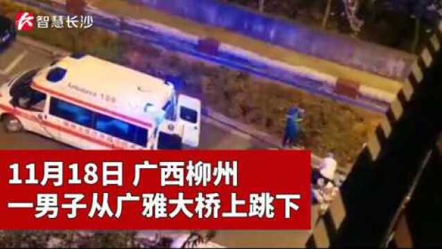 11月18日广西柳州,一男子深夜从广雅大桥跳下身亡,原因未明