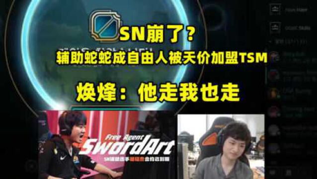 SN崩了?辅助蛇蛇成自由人被天价加盟TSM,焕烽:他走我也走