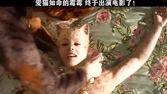 爱猫如命的霉霉,终于出演电影了,由《sats猫》改编电影它来了!