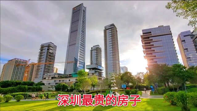 实拍深圳最贵的房子,一套最低2300万,一般人根本不敢想