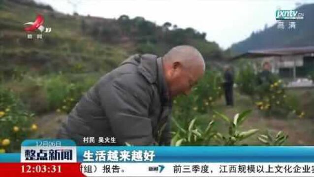 【中国的脱贫智慧】江西上饶:柠檬橙喜获丰收 助力农户持续增收