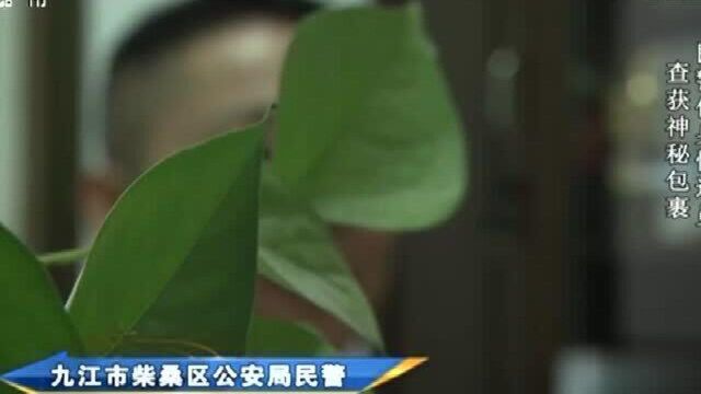 包裹2:男子来取神秘包裹,民警不动声色悄悄靠近,一举将其抓获