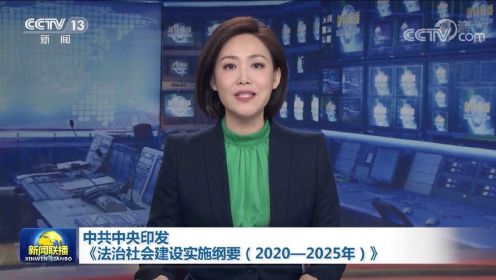 中共中央印发《法治社会建设实施纲要（2020—2025年）》